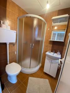 a bathroom with a shower and a toilet and a sink at Oaza mira in Zlatibor