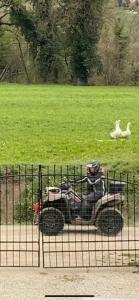 a motorcycle parked next to a field with a dog at Orlandi Sun casa 2 in Sarnano