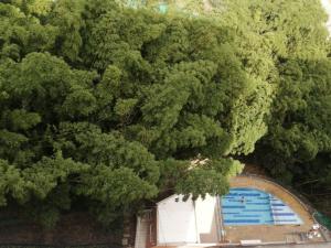 an overhead view of a pool surrounded by trees at Apto Sabaneta 2 habitaciones al lado Centro Comercial Mayorca in Sabaneta