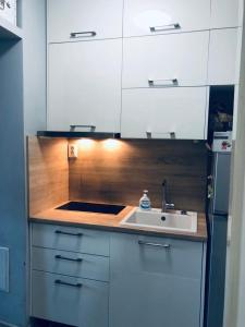 a kitchen with a sink and white cabinets at Meri apartment in Rača