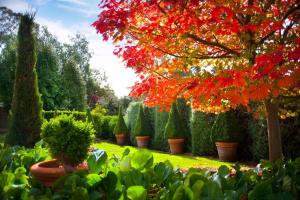 Giardino di Hepburn View