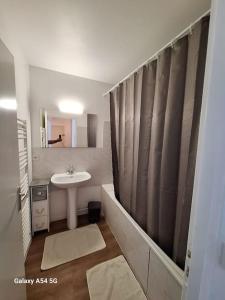 uma casa de banho com um lavatório e uma cortina de chuveiro em Appartement Chez A.S.Y. em Guérande