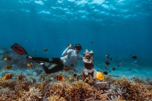 a man in the ocean with a fish in the water at Seven Angels Villa and Hostel in Nusa Penida