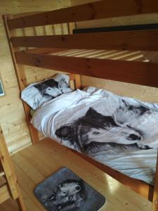 twee bedden in een kamer met twee katten erop bij Kilplaste küla kämpingud 