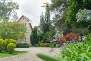 Zahrada ubytování Nice Dream Hotel