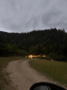 a dirt road next to a field with trees at Cozy house in the forest in Borjomi