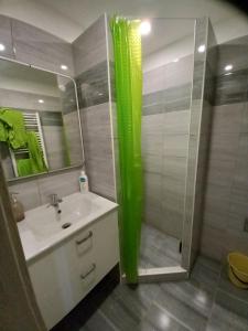 een badkamer met wastafel en douche met spiegel bij Apartmán na Polesí in Deštné v Orlických horách +4 foto's