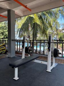 un gimnasio con banco, pesas y una palmera en Tropica Gili Total Body Fit, en Gili Trawangan