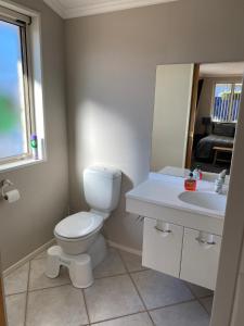 a bathroom with a toilet and a sink and a mirror at Riverside Studio in Wanaka
