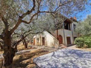 a house with a tree in front of it at Villa Elli in Alexandroupoli