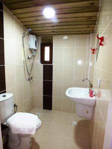 a bathroom with a toilet and a sink at Mjora Butik Otel in Çamlıhemşin