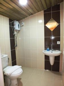 a bathroom with a toilet and a sink at Mjora Butik Otel in Çamlıhemşin
