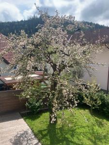 Ogród w obiekcie HAUS ZWEI