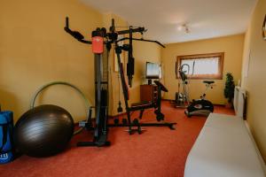 Fitness centrum a/nebo fitness zařízení v ubytování Sporthotel Kitz inkl Sommercard, kostenlose Maut für die Großglockner Hochalpenstraße, zentrale Lage mit bestem Ausblick