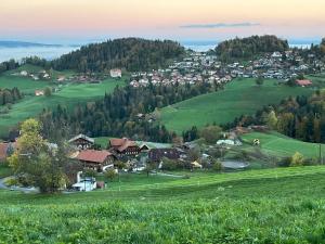 ein Dorf auf einem Hügel mit grünen Feldern und Bäumen in der Unterkunft Pony Hof in Heiligenschwendi