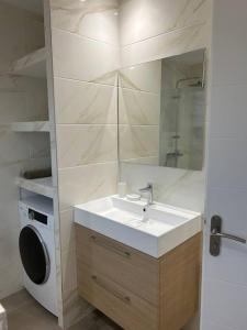 ein Badezimmer mit einem Waschbecken und einer Waschmaschine in der Unterkunft Villa mina in Ghisonaccia