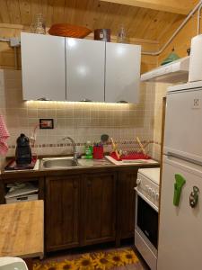 eine Küche mit einer Spüle und einem weißen Kühlschrank in der Unterkunft CARPE DIEM RETAFANI Roger's house in Altipiani di Arcinazzo