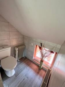 La salle de bains est pourvue de toilettes et d'une fenêtre. dans l'établissement Apartamenty nad Zalewem Szczecińskim, 