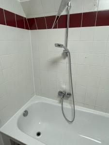a shower in a bathroom with a tub at Ferienwohnung Sommeralm in Arzberg +9 photos