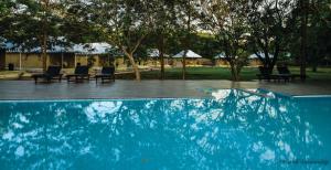 a blue swimming pool with chairs and trees at Rangiri Dambulla Resort in Dambulla