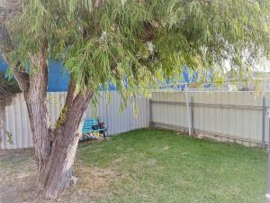 a tree in a yard with a bench next to a fence at Salt & Soul Beach Shack in Esperance