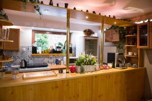 a kitchen with a counter with plants on it at Willa Basinek in Muszyna