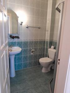 een badkamer met een toilet en een wastafel bij Vila Uosis in Palanga