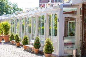 Zahrada ubytování Hotel Im Schützenhof, Jever