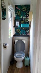 a bathroom with a toilet in a room at Cottage gîte aux Lauriers Lacroix sur meuse in Lacroix-sur-Meuse