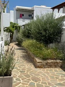 a stone walkway next to a white building with bushes at Levanda Guest Houses in Andiparos