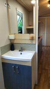 a bathroom with a sink and a mirror at Cottage gîte aux Lauriers Lacroix sur meuse in Lacroix-sur-Meuse