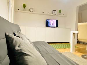 a living room with a couch and a tv at Nono's apartament in Cluj-Napoca