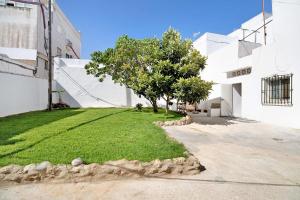 a white building with a tree in the middle of a yard at Obispo Rancés 12 A in Chiclana de la Frontera