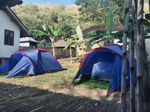 two tents in the grass next to a house at Khabita Beach Resort in Lembar