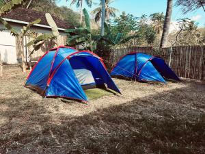 two blue and red tents sitting in the grass at Khabita Beach Resort in Lembar