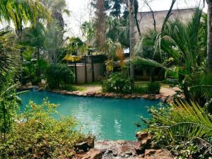 una piscina de agua en un patio con palmeras en Motozi Lodge en Pelindaba