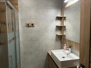 bagno con lavandino e doccia di Apartmány Vila Vlasta Vysoké Tatry a Starý Smokovec