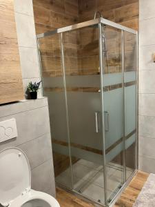 un bagno con servizi igienici e box doccia in vetro. di Apartmány Vila Vlasta Vysoké Tatry a Starý Smokovec