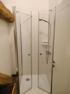 een douche met een glazen deur in de badkamer bij De Moane in Akelsbarg