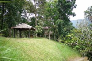 a house in the middle of a grassy field at Batu Kapal Lodge in Bukit Lawang