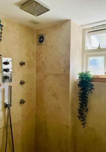 a bathroom with a shower with a plant in it at Grade II boho home in the heart of Oxford St. in Southampton