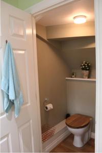 uma casa de banho com um WC e uma toalha azul em Coddiwomple em Leyburn
