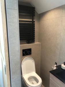 een kleine badkamer met een toilet in een kamer bij Dune Vieuw in Zandvoort