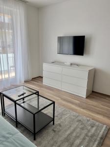 Televízia a/alebo spoločenská miestnosť v ubytovaní Hotel Foldana