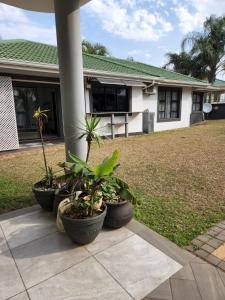 a group of potted plants in front of a house at Umhlanga Rocks Guesthouse flat in Durban