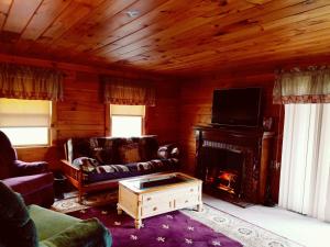 sala de estar con chimenea, sofá y TV en Spacious 8bd7ba Log Home on Beltzville Lake in Southern Poconos - No Prom en Lehighton