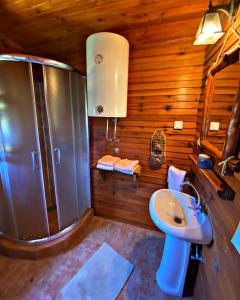 a bathroom with a shower and a sink at Vila Tornik in Zlatibor