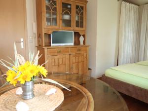 a living room with a coffee table and a tv at Apartment Landhaus Mahnhamm-1 by Interhome in Wiarden