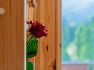 a red rose is sticking out of a door at Apartment Rosablanche B72 by Interhome in Siviez