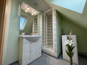 a bathroom with a sink and a shower at Apartment Résidence jaune et rose-3 by Interhome in Marckolsheim